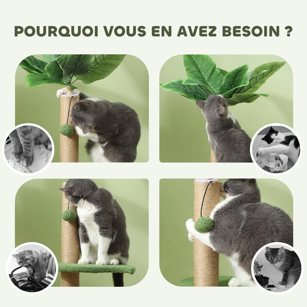 Arbre à chat arbre à grimper pour chat hauteur 83 cm avec griffoir en jute, balles jouets, plates-formes en peluche